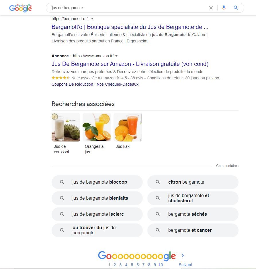 bergamott-o.fr premire page google